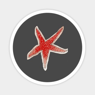 Red starfish Magnet